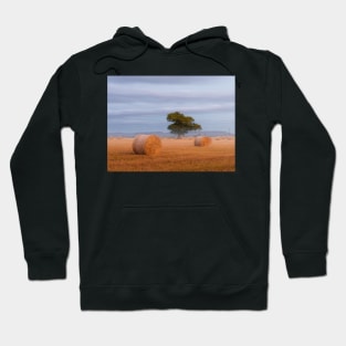 Misty Fall Harvest Hoodie